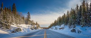 Preview wallpaper road, marking, trees, snow, snowy