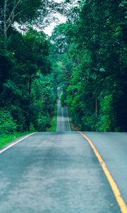 Preview wallpaper road, marking, trees, path