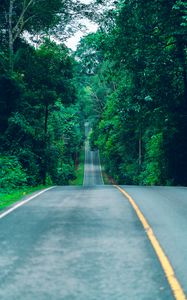 Preview wallpaper road, marking, trees, path