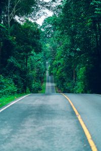 Preview wallpaper road, marking, trees, path