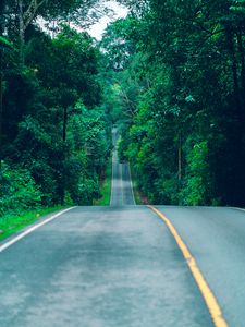 Preview wallpaper road, marking, trees, path