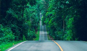 Preview wallpaper road, marking, trees, path