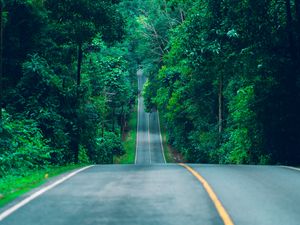 Preview wallpaper road, marking, trees, path