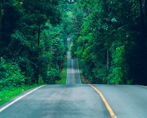 Preview wallpaper road, marking, trees, path