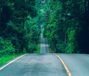 Preview wallpaper road, marking, trees, path