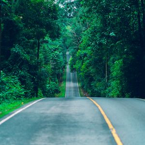 Preview wallpaper road, marking, trees, path