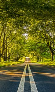 Preview wallpaper road, marking, trees, alley, distance