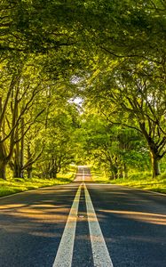 Preview wallpaper road, marking, trees, alley, distance