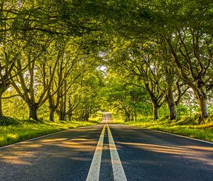 Preview wallpaper road, marking, trees, alley, distance