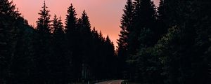 Preview wallpaper road, marking, trees, distance, sunset