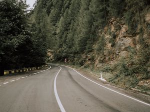 Preview wallpaper road, marking, trees, bushes, slope