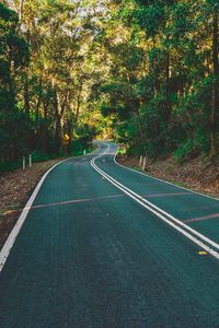 Preview wallpaper road, marking, turn, trees, forest