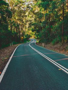 Preview wallpaper road, marking, turn, trees, forest