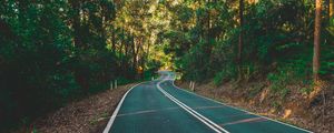 Preview wallpaper road, marking, turn, trees, forest