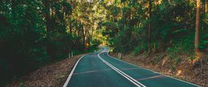 Preview wallpaper road, marking, turn, trees, forest