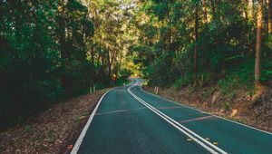 Preview wallpaper road, marking, turn, trees, forest