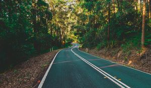 Preview wallpaper road, marking, turn, trees, forest