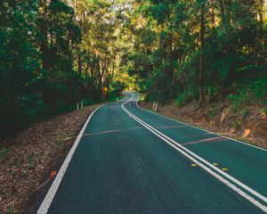 Preview wallpaper road, marking, turn, trees, forest