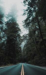 Preview wallpaper road, marking, turn, trees, fog