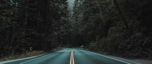 Preview wallpaper road, marking, turn, trees, fog
