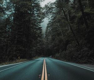 Preview wallpaper road, marking, turn, trees, fog