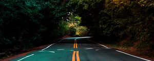 Preview wallpaper road, marking, turn, trees, asphalt