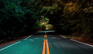 Preview wallpaper road, marking, turn, trees, asphalt