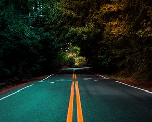 Preview wallpaper road, marking, turn, trees, asphalt