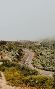 Preview wallpaper road, marking, winding, fog, grass