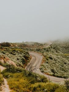 Preview wallpaper road, marking, winding, fog, grass