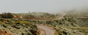 Preview wallpaper road, marking, winding, fog, grass