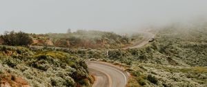 Preview wallpaper road, marking, winding, fog, grass