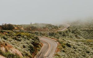 Preview wallpaper road, marking, winding, fog, grass