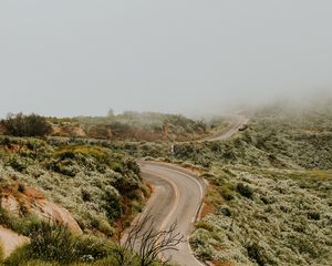 Preview wallpaper road, marking, winding, fog, grass