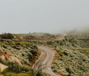 Preview wallpaper road, marking, winding, fog, grass