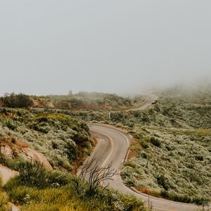 Preview wallpaper road, marking, winding, fog, grass