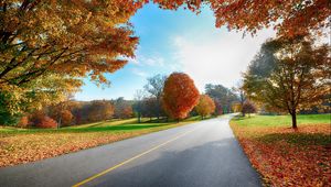 Preview wallpaper road, markings, autumn, trees