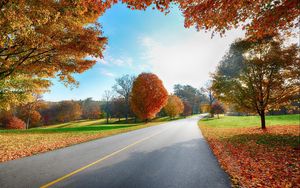 Preview wallpaper road, markings, autumn, trees