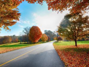 Preview wallpaper road, markings, autumn, trees