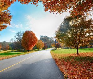 Preview wallpaper road, markings, autumn, trees