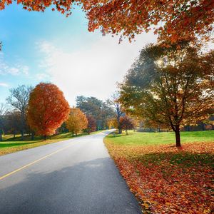 Preview wallpaper road, markings, autumn, trees