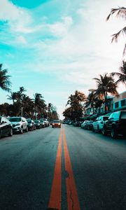 Preview wallpaper road, markings, palm trees, cars