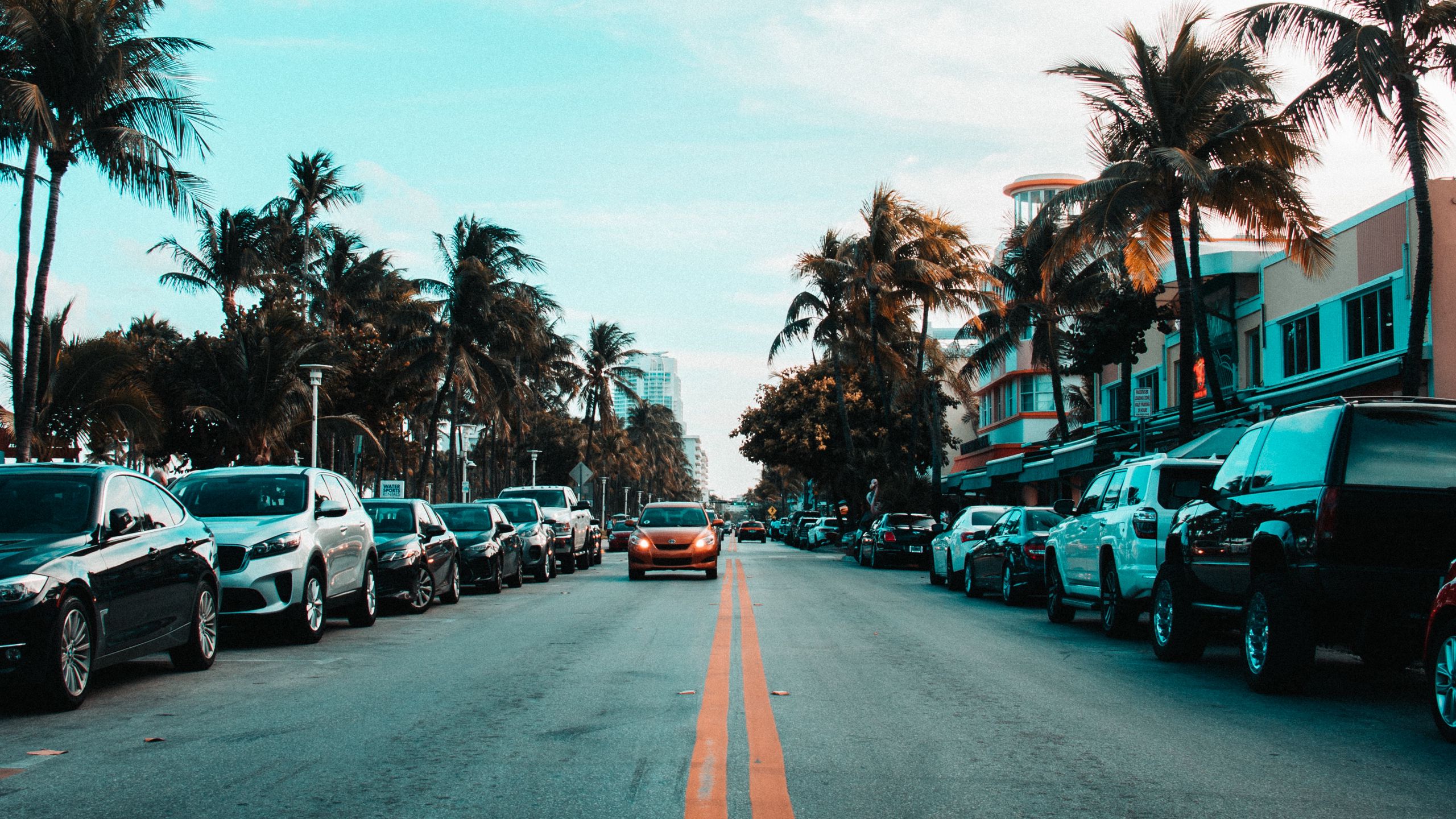 Download wallpaper 2560x1440 road, markings, palm trees, cars