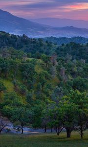 Preview wallpaper road, mountain, asphalt, relief, evening, decline, trees, look