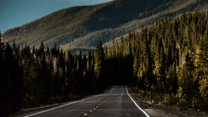 Preview wallpaper road, mountain, forest, direction, marking, sky