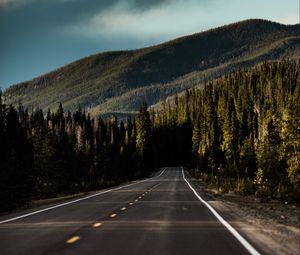 Preview wallpaper road, mountain, forest, direction, marking, sky