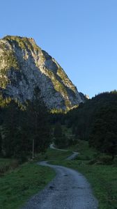Preview wallpaper road, mountain, forest, landscape, nature