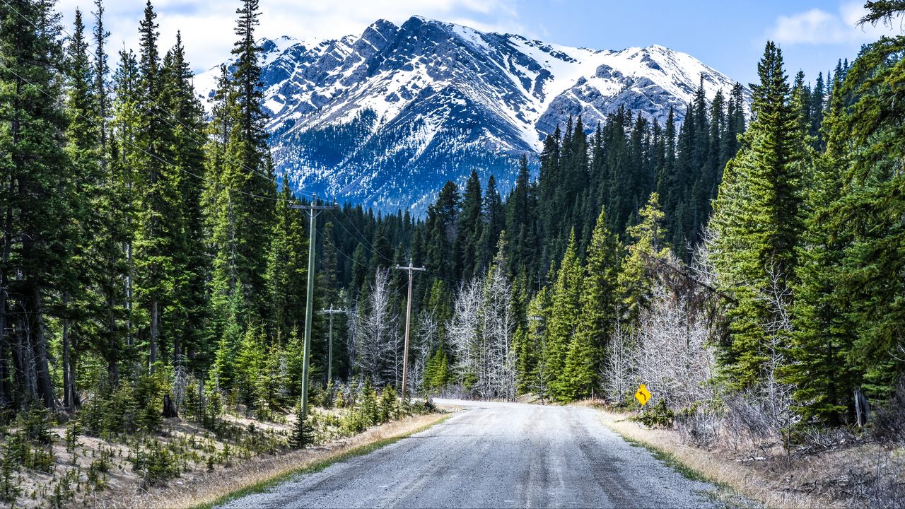 Wallpaper road, mountain, forest, nature, landscape, canada