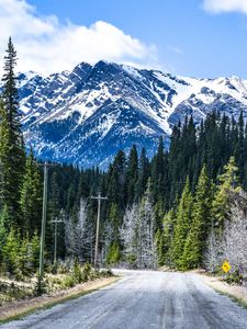 Preview wallpaper road, mountain, forest, nature, landscape, canada