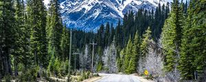 Preview wallpaper road, mountain, forest, nature, landscape, canada